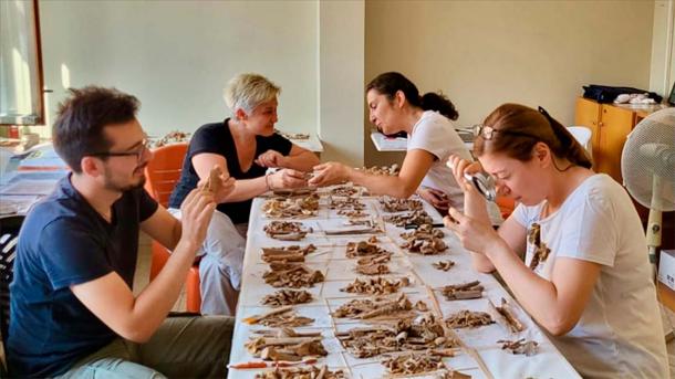 Archaeologists sorting skeletal remains found at Çatalhöyük. (Anadolu Agency)