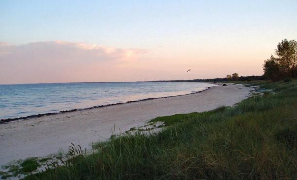 The funnel beaker was found on the south coast of Lolland, Denmark (pictured). 