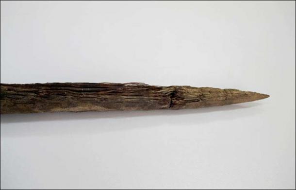 The spear tip, almost 90cm in length and seemingly still sharp enough to kill. Picture: The Siberian Times