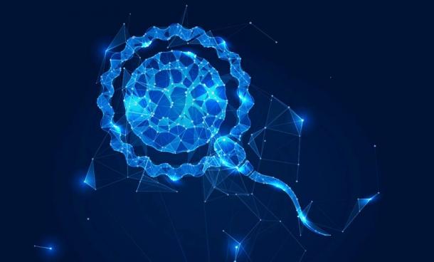 A sperm hologram reveals another dimension of the Serpent mound effigies