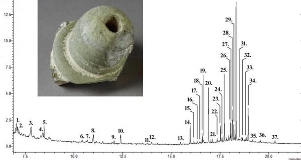 This sphero-conical sherd (742) was found to be a container for medicinal or scented materials. (C. Matheson et al./PLOS ONE)