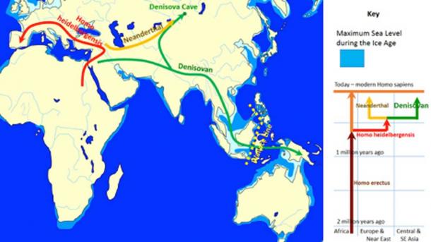 The evolution and geographic spread of Denisovans as compared with other groups 