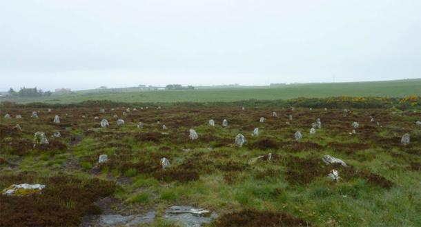 The Hill O Many Stanes, Mid Clyth, Caithness, Scotland. (Otter/CC BY SA 3.0)