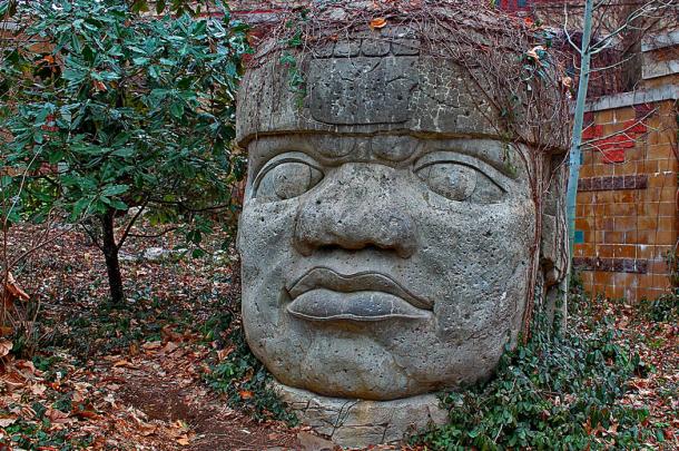Famous stone head of the Olmec civilization.