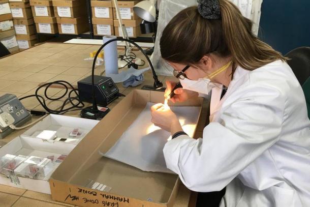 As part of the study of the study of the remains of eight members of the Mary Rose crew, researchers have examined their bones to try to reconstruct their biographies