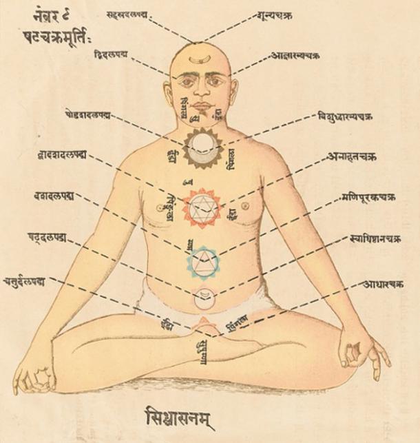 The subtle body. Illustration of the six chakras of tantric yoga in Sanskrit and Hindi. (Wellcome Collection)