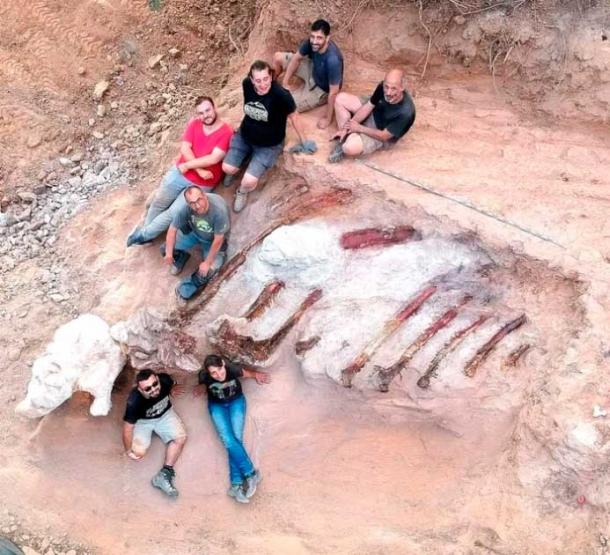 El equipo de excavación en el patio trasero ahora transformado en Portugal posando junto a las costillas del fósil de dinosaurio más grande jamás encontrado en Europa. (Foto cortesía del Instituto Dom Luiz / Facultad de Ciencias de la Universidad de Lisboa)