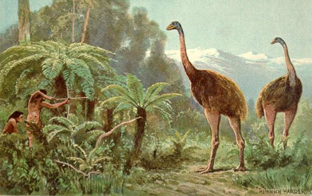 Scientists have said that the environment in which the moa (pictured) once lived no longer exists so it would be problematic to resurrect them