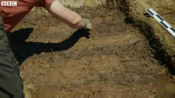 The researchers found what they believe to be evidence of Norse grass walls at their dig site in Point Rosee in Newfoundland.