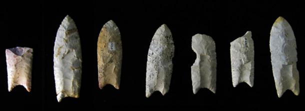 A hallmark of the toolkit associated with the Clovis culture is the distinctively shaped, fluted stone spear point, known as the Clovis point. These Clovis points were from the Rummells-Maske Cache Site, Iowa 