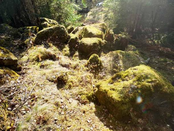 The Bronze Age treasure was found in a forest near Alingsås in western Sweden. (Johanna Lega/CC BY 4.0)