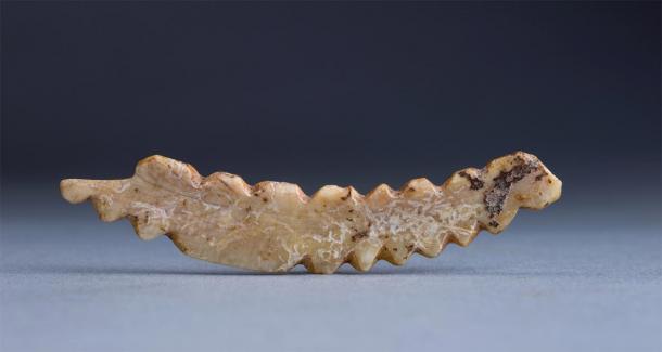 A boar tusk carving of a silkworm unearthed at the Shuanghuaishu site in central China's Henan province. (Image: Xinhua/SCIO)