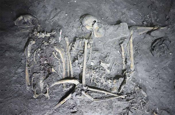 Archaeologists unearthed the skeletal remains of a golden eagle (on the left) and a spider monkey (on the right) within a sacrificial cache in Teotihuacan. (N. Sugiyama / Project Plaza of the Columns Complex)