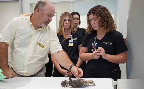 Dr. Cress and university students examining the artifact. (Norse Media)