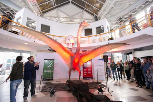 La presentazione di una ricostruzione in scala uno a uno del Thanatosdrakon amaru dell'Argentina, il più grande pterosauro mai trovato in Sud America. (Università di Cuyo)