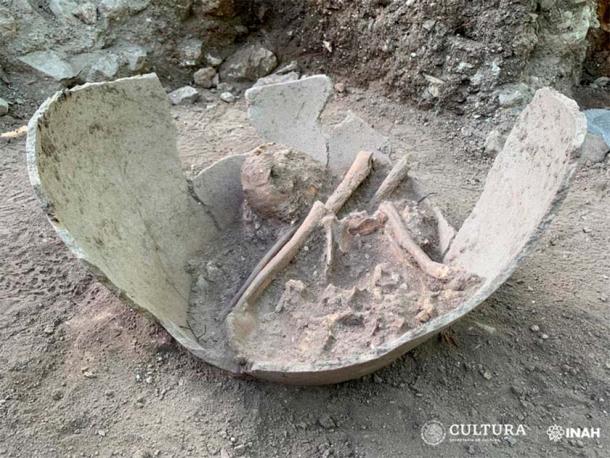 The burial vessel in which the young, sacrificed Mayan was found at El Tigre. Credit: INAH Campeche.