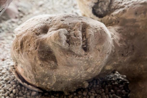 Frozen in Time: Casts of Pompeii Reveal Last Moments of Volcano Victims