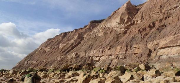 A view of the cliffs near Hastings where the footprints were found. (Neil Davies / University of Cambridge)