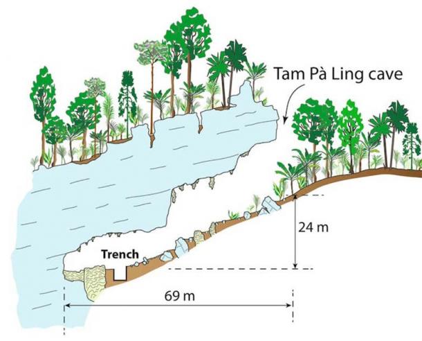 A cross-sectional view of the Tam Pà Ling cave, showing the location of the trench where remains were found. (Freidline et al. / Nature Communications)