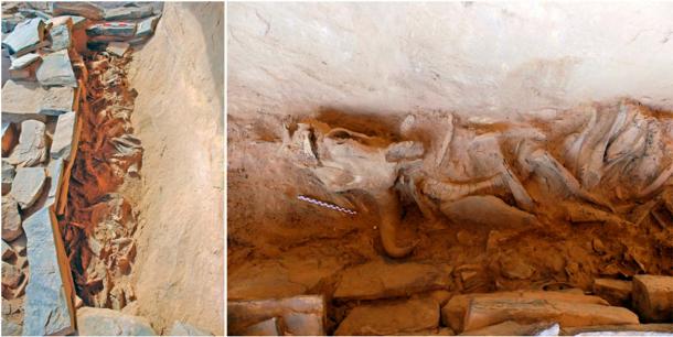 Close-up views of the horn chamber. (Wael Abu-Azizeh et al 2022 / RCU)