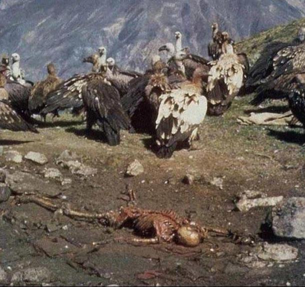 Enterro tradicional do céu tibetano em que os abutres escolhem limpar os ossos dos mortos.