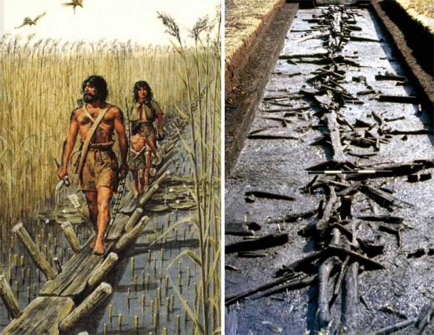 The Sweet Track, a timber walkway once formed a network of pathways, ingeniously crafted to offer a dry route through the marshy terrain. (Museum of Artifacts/Facebook)