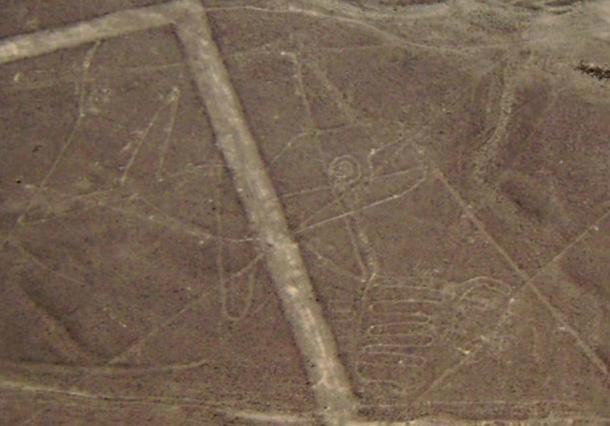 Nazca Lines: The unexpected design of a whale in the desert.