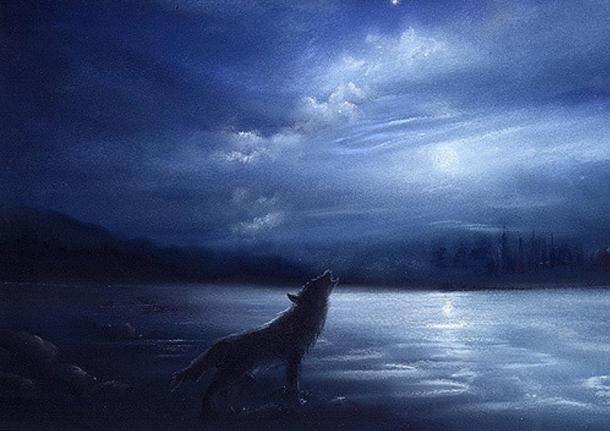 Ireland was once home to wolves.