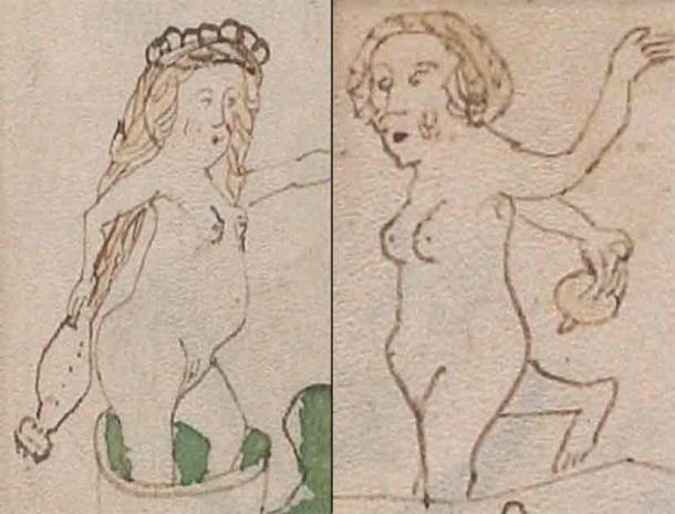 Women illustrated in the manuscript are shown holding unidentified objects towards their genitalia. (Yale University Library/The Conversation)