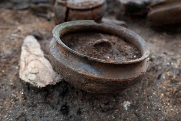 A bowl with a woodchip. 