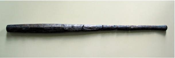 Two wooden clubs found at the site. 