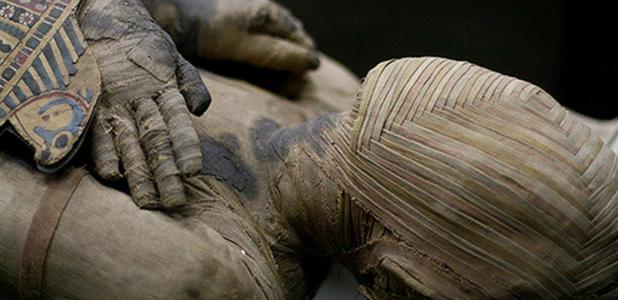 An Egyptian Mummy 