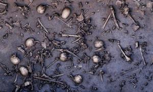 The remains of warriors lie scattered on the battlefield of Tollense.