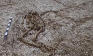 Second Anglo-Saxon cemetery with fascinating grave goods unearthed near Stonehenge