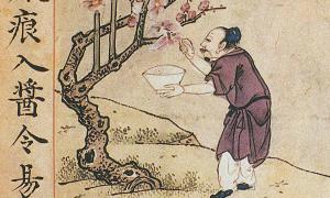 The Ben Cao Gang Mu (Compendium of Material Medica) is a 16th-century collection of medical knowledge. Source: Public domain