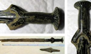 Czech Mushroom Hunter Finds 3,300-Year-Old Bronze Age Sword
