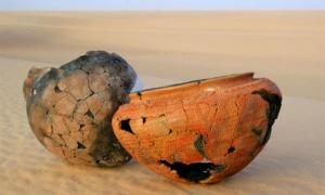 find someone's dating profile