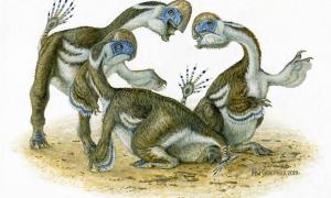 An artist’s impression of the Oksoko avarsan dinosaur. Source: (Michaeol Skrepnick / University of Edinburgh)