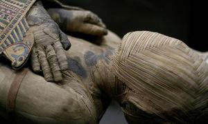 An Egyptian Mummy 