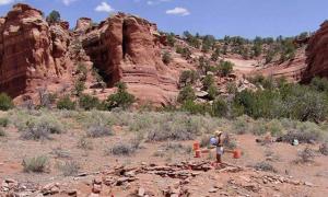 Excavations of ancient households and study of fingerprints in New Mexico reveal that men and women were equally involved in domestic pottery production. Source: John Kantner / UNF.