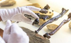 Bones from the hand of a male human ancestor Danuvius guggenmosi.	Source: Christoph Jäckle / Nature