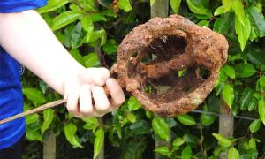 Irish historic sword found by 10-year old Fionntan Hughes in Northern Ireland with his new metal detector on his first day of treasure hunting. Source: Brian Quinn / Clonoe Gallery