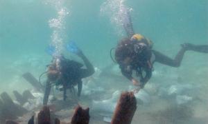 Marine archaeology students examine the pottery near the bulkhead at the Israeli shipwreck. Source: A. Yurman/Leon Recanati, Institute for Maritime Studies of the University of Haifa