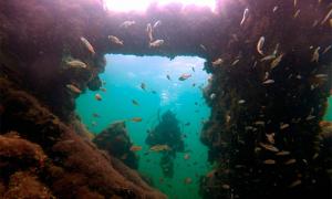 The shipwreck found in the Gulf of Mexico has been identified as being the wreck of La Unión, a steamship used to take Maya slaves to Cuba in the aftermath of the War of the Castes. In the image a marine archaeologist inspects the detail of the seesaw steam engine off the coast of Sisal, Mexico. Source: Helena Barba / INAH