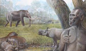 Artist’s reconstruction of a savannah in Middle Pleistocene Southeast Asia. In the foreground Homo erectus, stegodon, hyenas, and Asian rhinos are depicted. Water buffalo can be seen at the edge of a riparian forest in the background. Source: Peter Schouten / Nature