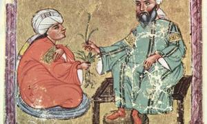 Folio from an Arabic manuscript of Dioscorides, De materia medica, 1229 (Public Domain)