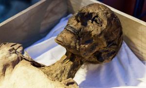 Egyptian mummy. Source: esebene / Adobe Stock.