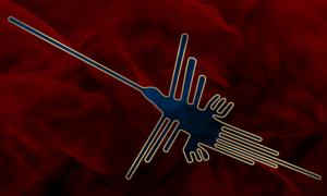 Nazca Hummingbird identified as Source: / CC BY-SA 4.0