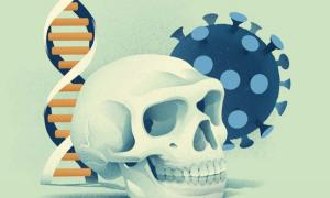 Do You Have the Good or Bad Covid-19 Neanderthal Genes?
