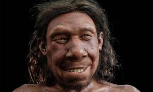 The reconstructed face of Krijn thr Neanderthal from Doggerland.  